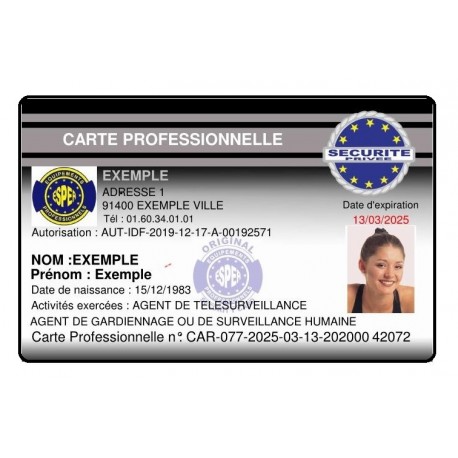 CARTE PROFESSIONNELLE ADS